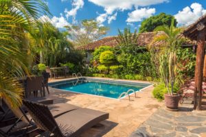 plants poolside garden