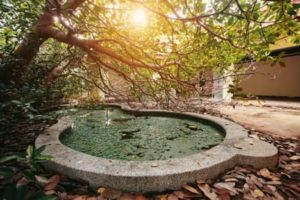 Pool Restoration After A Hurricane