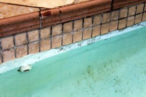 damage pool repair in orlando