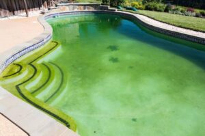 Cloudy or Green pool Water