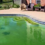 Preventing Pool Algae Year-Round