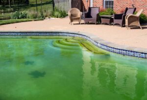 Preventing Pool Algae Year-Round
